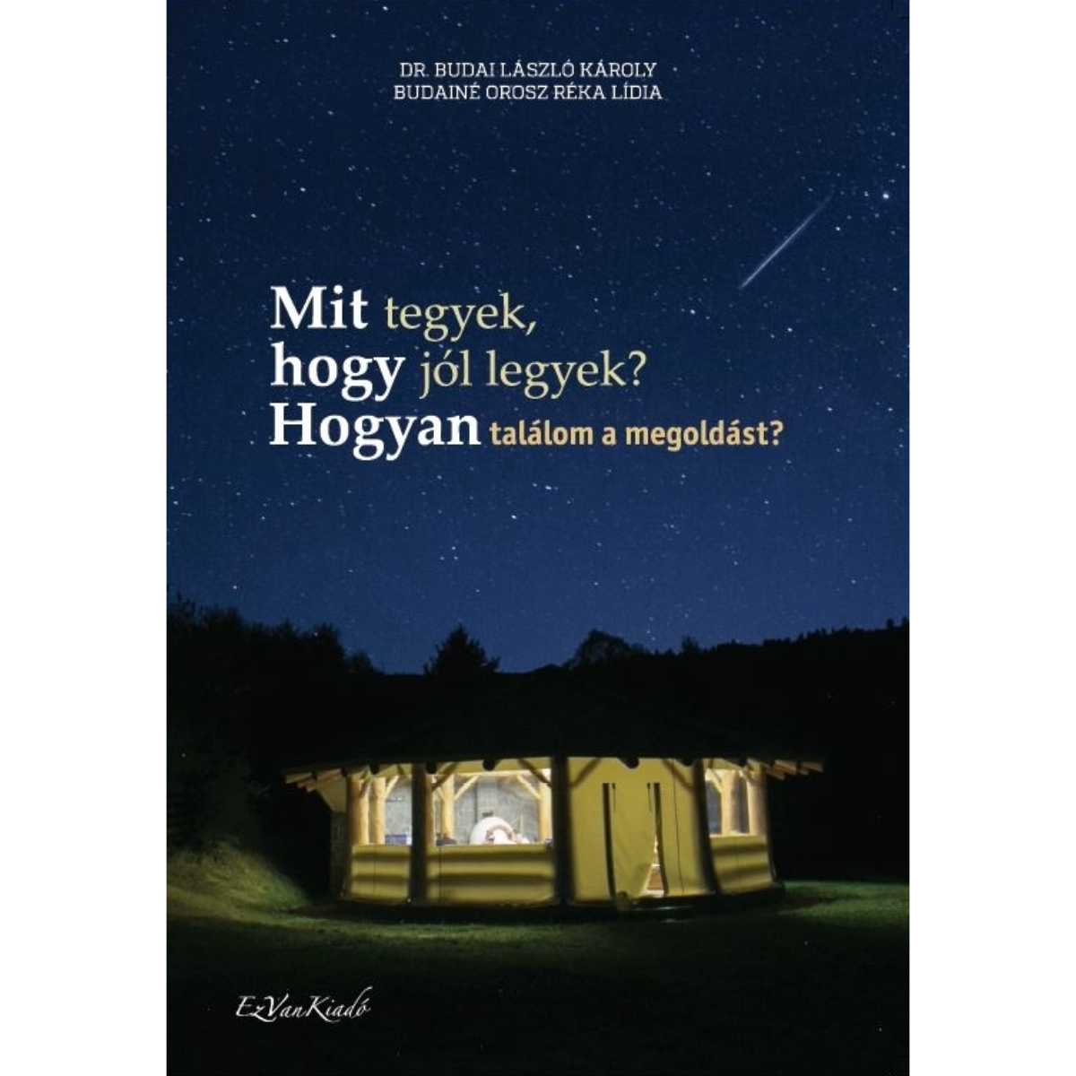 Dr. Budai László Károly: Mit tegyek, hogy jól legyek?