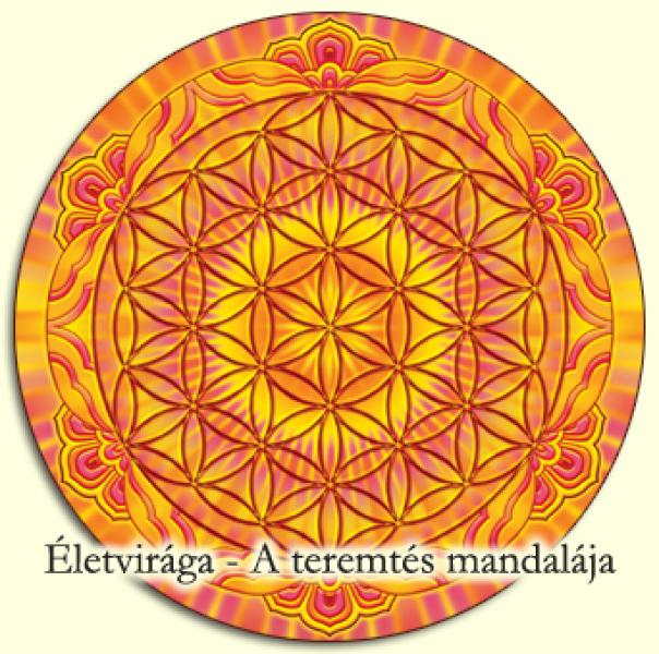MANDALA FALIKÉP - ÉLETVIRÁGA